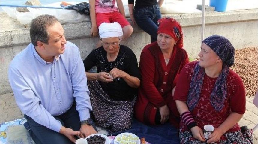 Başkan Aksu, Fındık &Uuml;reticilerini Ziyaret Etti