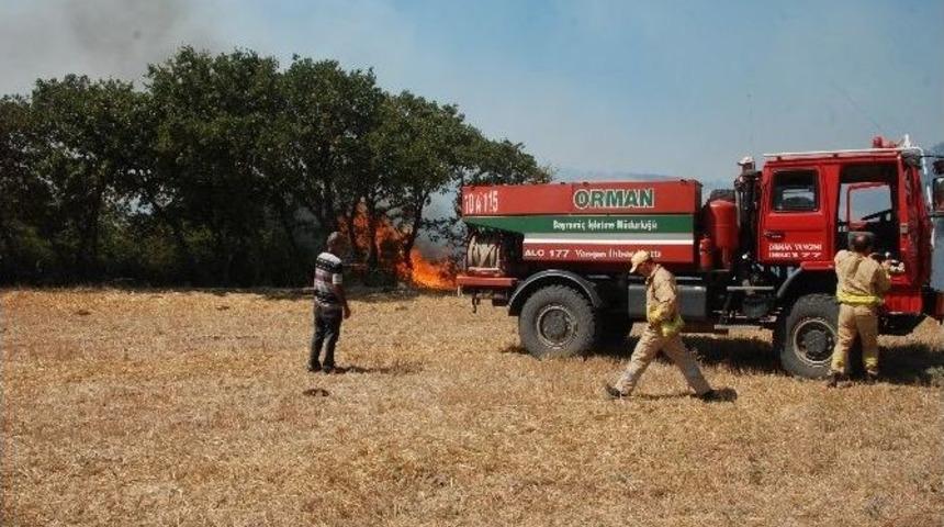 Bayrami&ccedil;&rsquo;te Orman Yangını