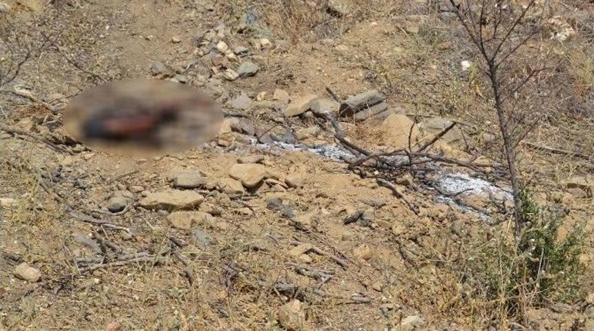 Kaybolan Şahsın Cesedi Par&ccedil;alanmış Ve Yakılmış Şekilde Bulundu