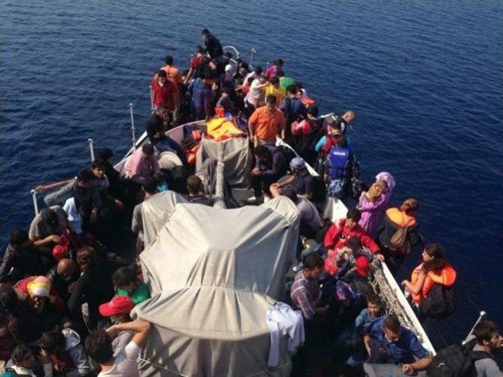 Bu Çocukların Sonu Aylan Gibi Olmadı G4