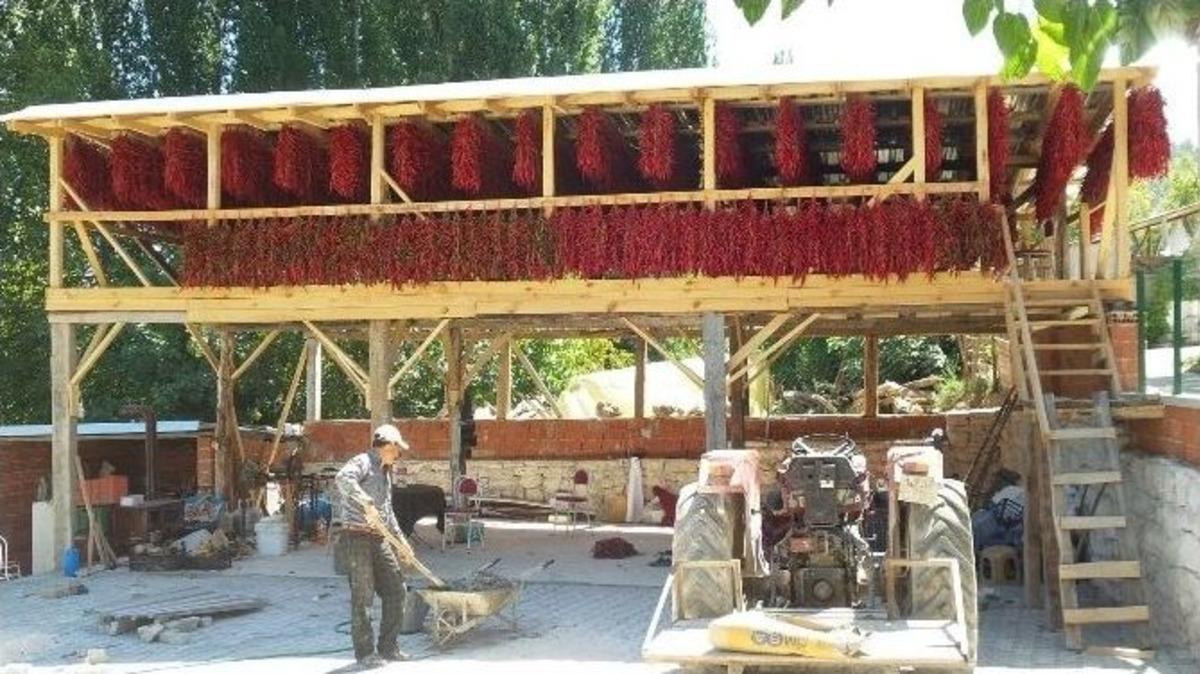 150 Yıldır Genetiği Değişmeyen Biber