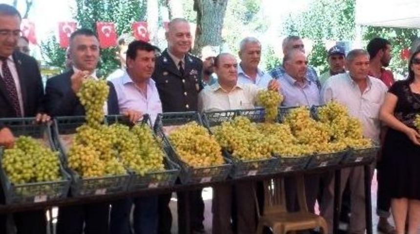 En G&uuml;zel &Uuml;z&uuml;m Se&ccedil;ildi