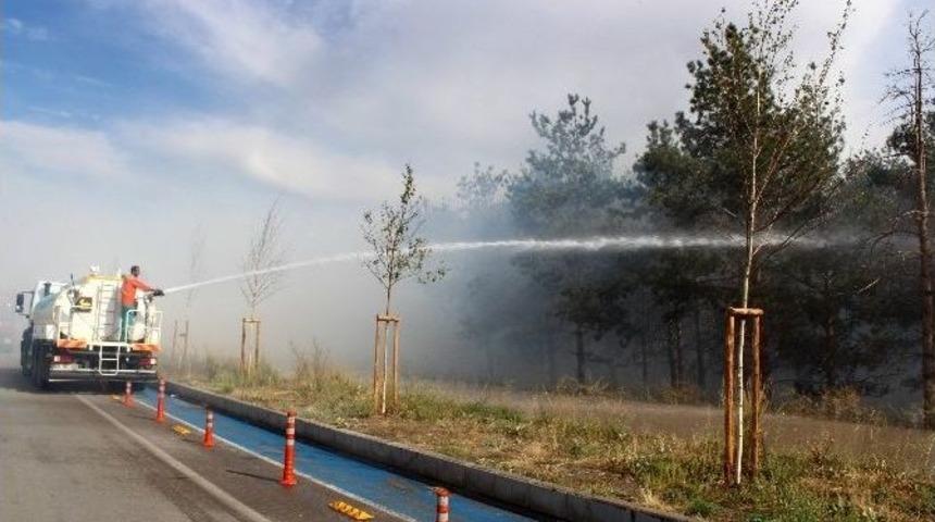 Orman Yangını Korkuttu