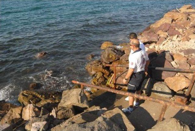 Kıyıya Vuran Eğitim Mayını, Askeri Ve Polisi Harakete Geçirdi