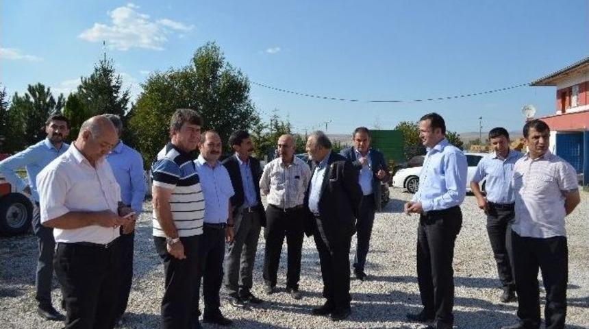 (&ouml;zel Haber) Otomobil Fiyatına Kurbanlık Boğa