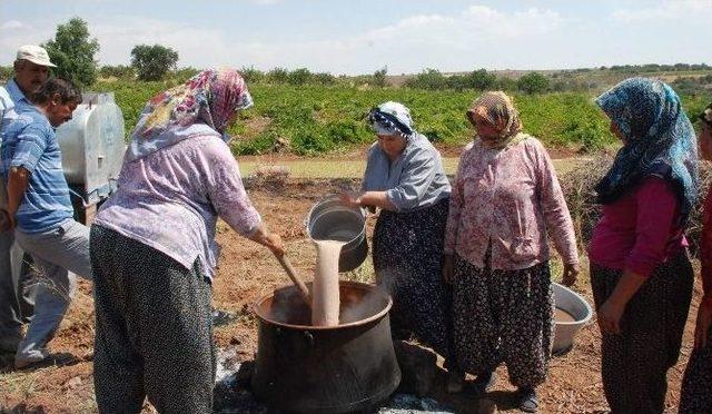 Gölbaşı İlçesinde Bağ Bozumu Şenlikleri Başladı