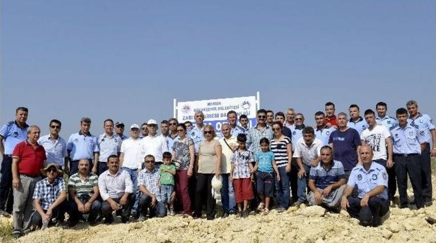Mersin&rsquo;de Zabıta Ekipleri Fidan Dikti