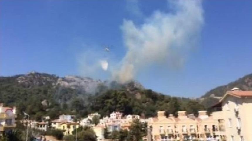 Alevler, Marmaris'te 4 D&ouml;n&uuml;m Ormanı K&uuml;le &Ccedil;evirdi