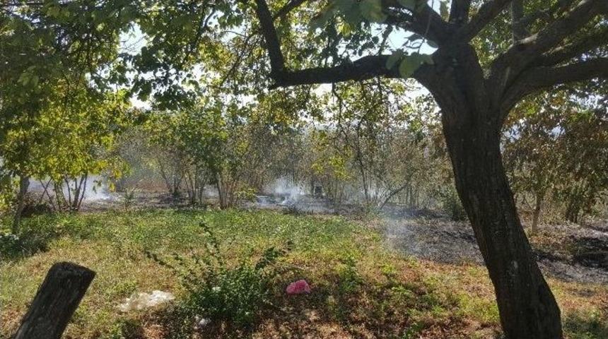 Alaplı&rsquo;da Fındık Tarlası Yandı