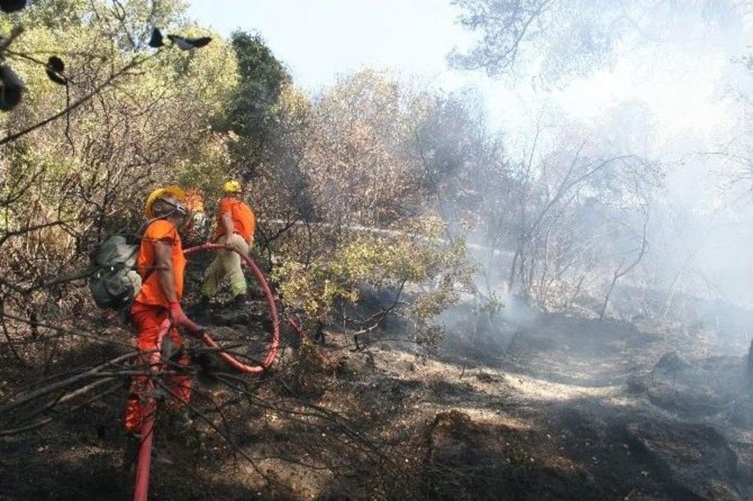L&uuml;ks Villalarda Orman Yangını Paniği