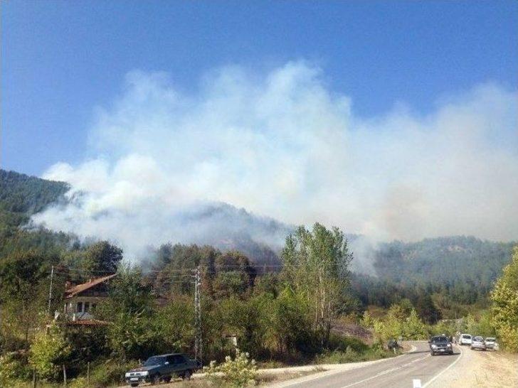 Ulus’ta 2 Noktada Orman Yangını Çıktı G4