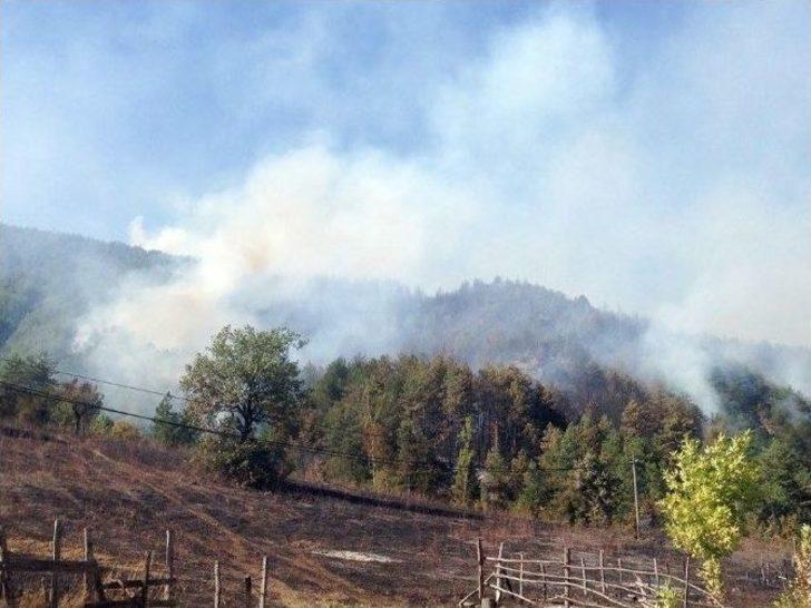 Ulus’ta 2 Noktada Orman Yangını Çıktı G5