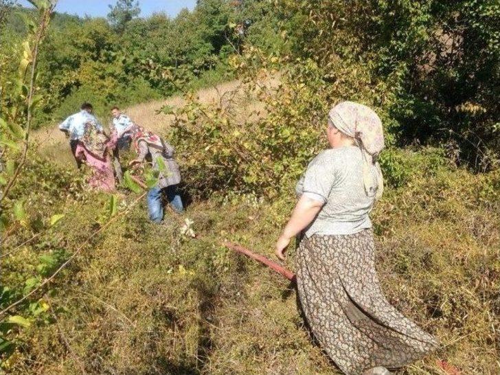 Ulus’ta 2 Noktada Orman Yangını Çıktı G1