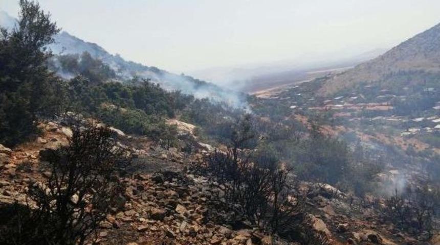 İslahiye'de Meşelik Alanda Yangın
