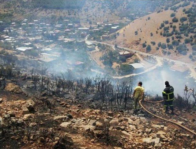 İslahiye'de Meşelik Alanda Yangın