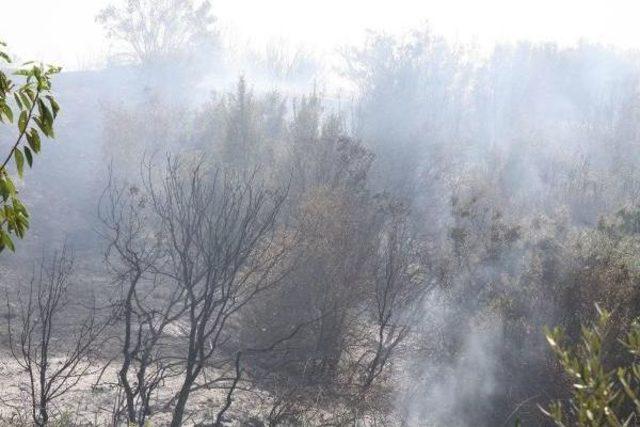 Makilik Alanda Çıkan Yangın Ormanı Da Yaktı