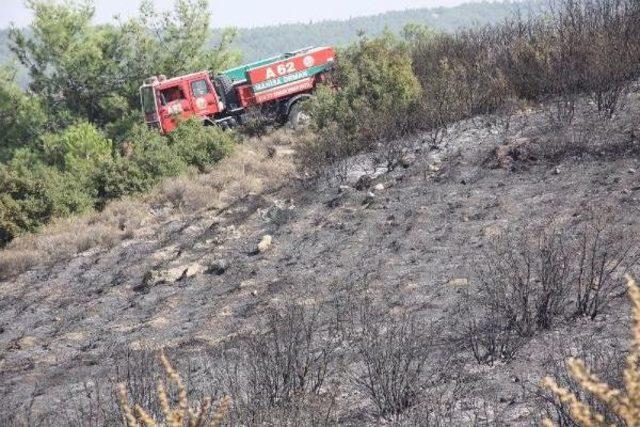 Makilik Alanda Çıkan Yangın Ormanı Da Yaktı