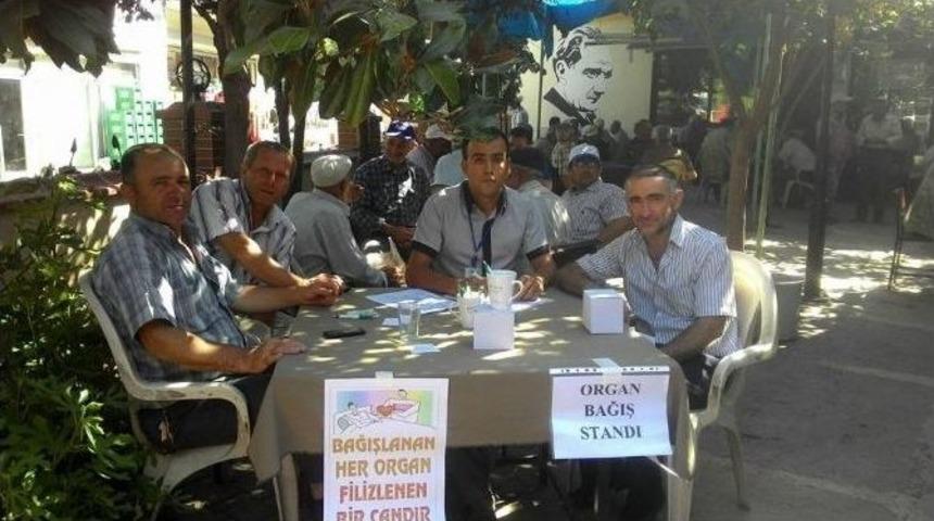 Gökçeören Mahallesine Organ Bağışı Standı