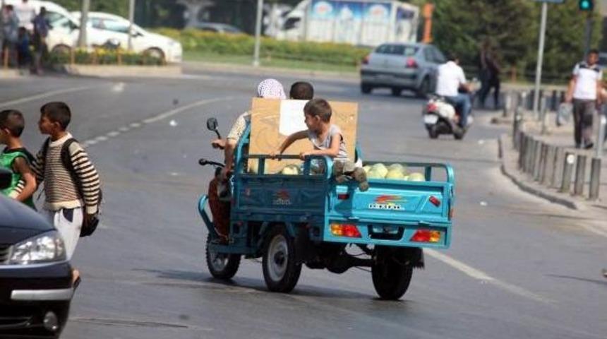 Kavunlar Arasında Tehlikeli Yolculuk