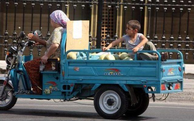 Kavunlar Arasında Tehlikeli Yolculuk