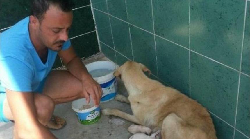 6 Yavrusuyla Yardım Bekliyor