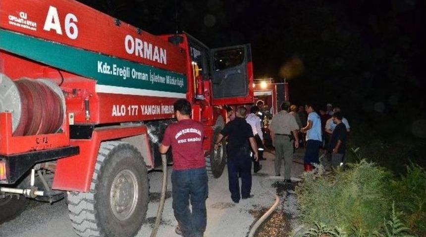 5 D&ouml;n&uuml;ml&uuml;k Alan K&uuml;l Oldu