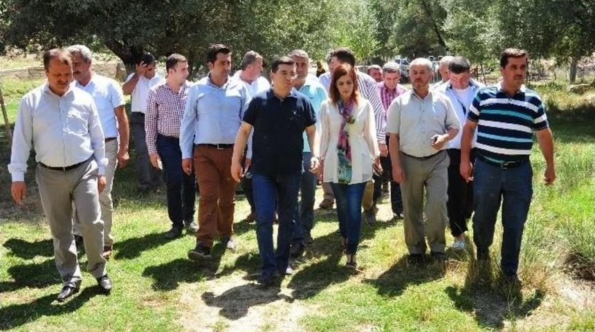 T&uuml;t&uuml;nc&uuml;&rsquo;den Varsak Yaylası&rsquo;nda