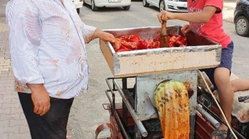 Sal&ccedil;a &Ccedil;ekimi Başladı