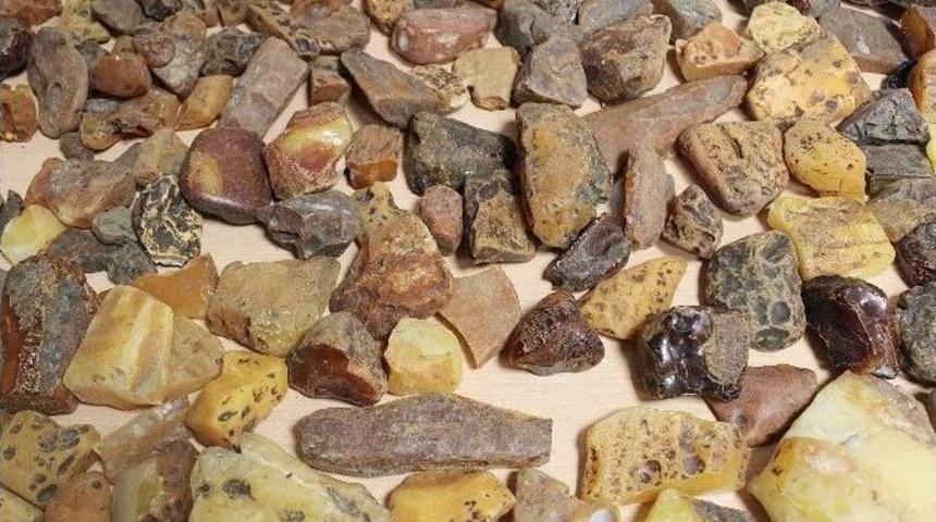 Kapıkule&rsquo;de 80 Bin Tl Değerinde Kehribar Taşı Ele Ge&ccedil;irildi