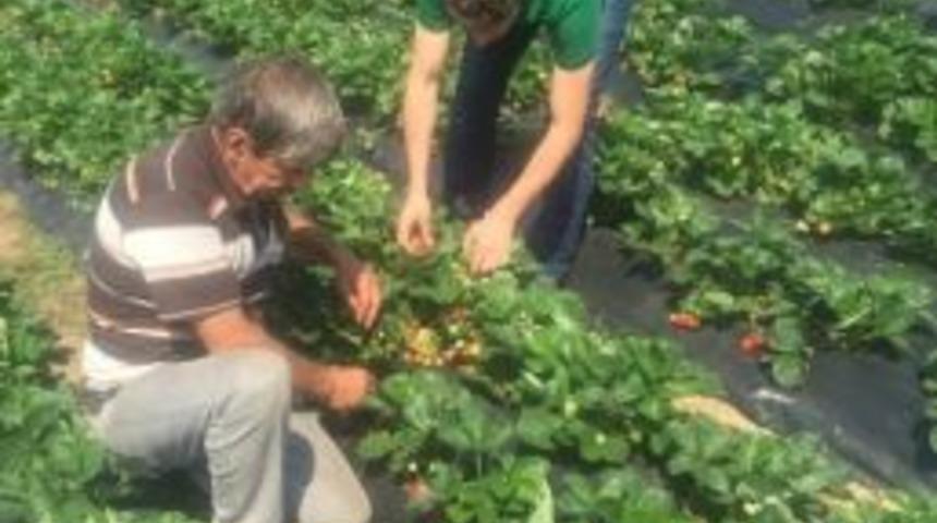 &Ouml;rnek &Ccedil;ilek Bah&ccedil;eleri &Ccedil;ok Beğenildi