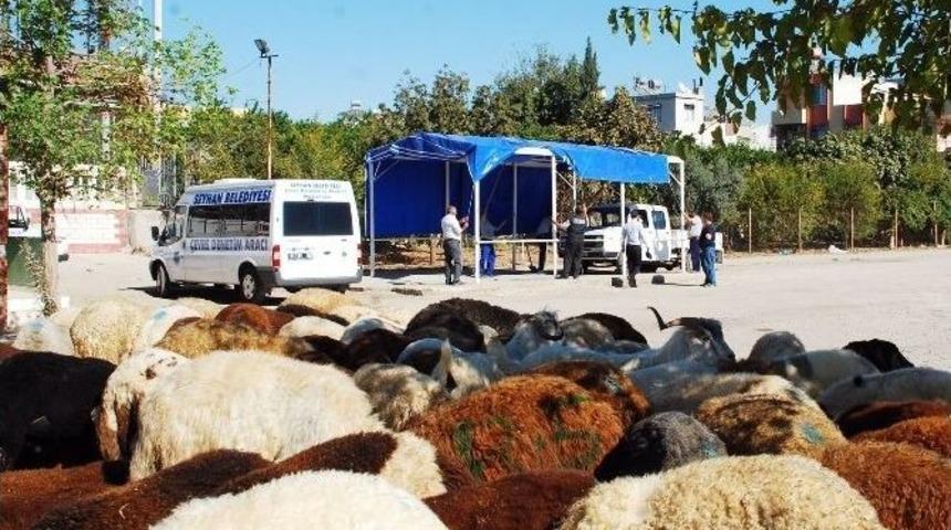Seyhan&rsquo;da Kurban Satış Ve Kesim Yerleri Belirlendi