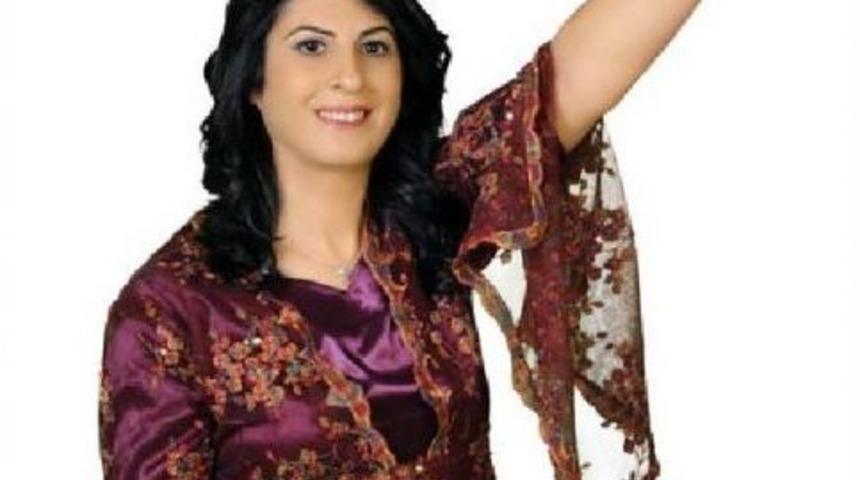 Nusaybin Belediye Başkanı, G&ouml;revden Uzaklaştırıldı