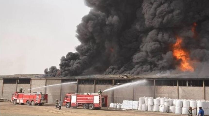 K&ouml;p&uuml;k Fabrikasında Yangın