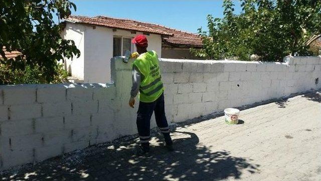 Dingiller Ve &Ccedil;obanhasan Renkleniyor 2