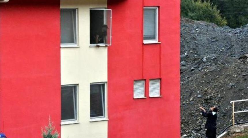 Maden M&uuml;hendisi Eski Işyerine Dinamitle Girip M&uuml;d&uuml;r&uuml; Rehin Aldı