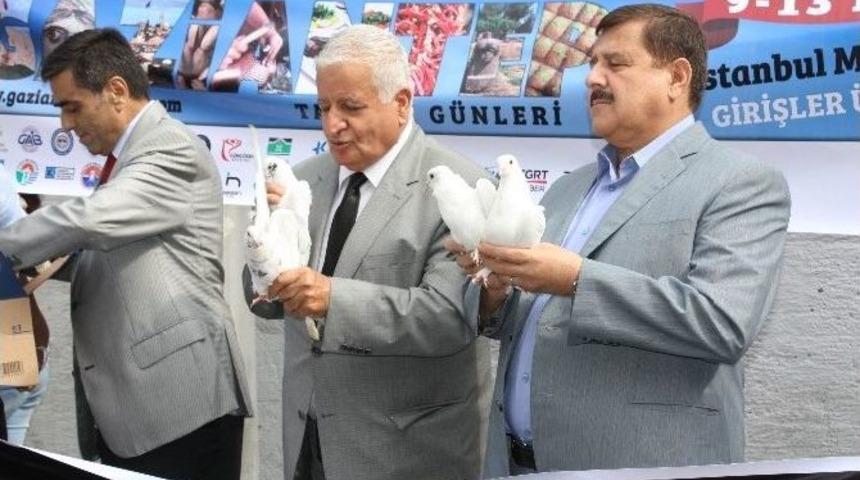 Şehitler İ&ccedil;in Barış G&uuml;vercini U&ccedil;urup, Baklava Dağıttılar