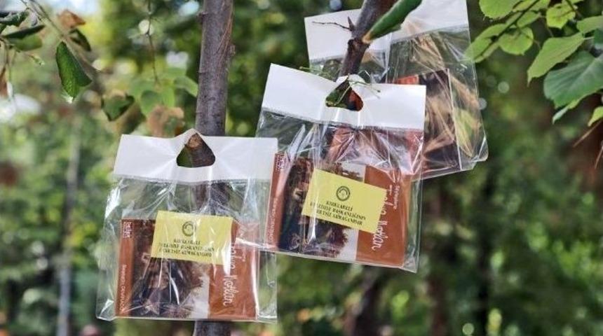 Kırklareli&rsquo;nde Caddeler Kitap A&ccedil;tı