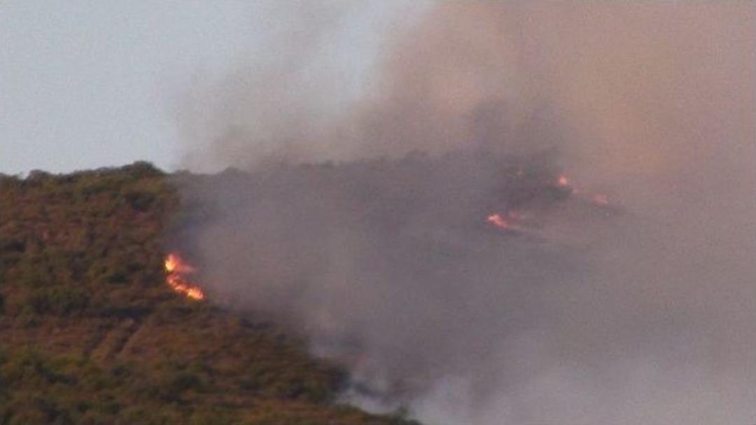 Pendik&rsquo;te Ormanlık Alanda Korkutan Yangın
