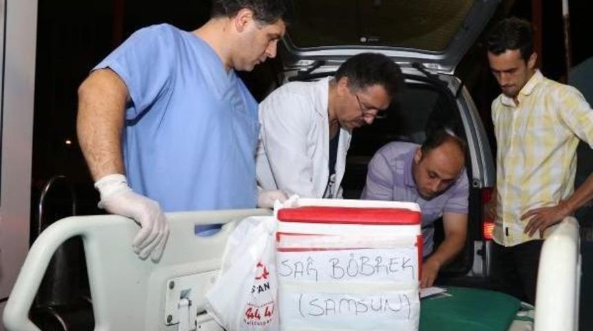 Organları 5 Kişiye Umut Oldu