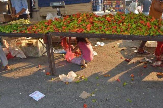 Pazar Atığı Sebze Ve Meyveyle Besleniyorlar