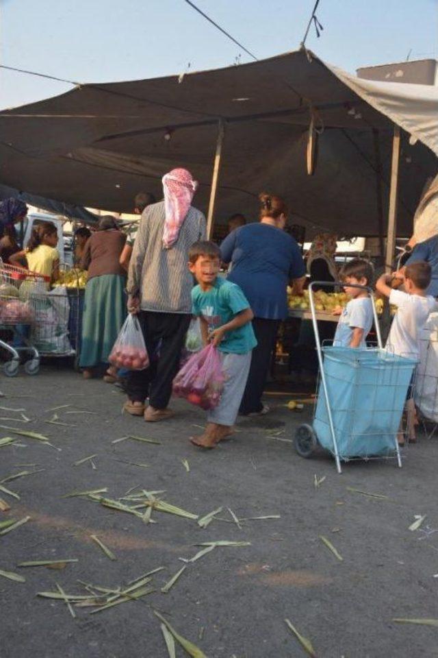 Pazar Atığı Sebze Ve Meyveyle Besleniyorlar