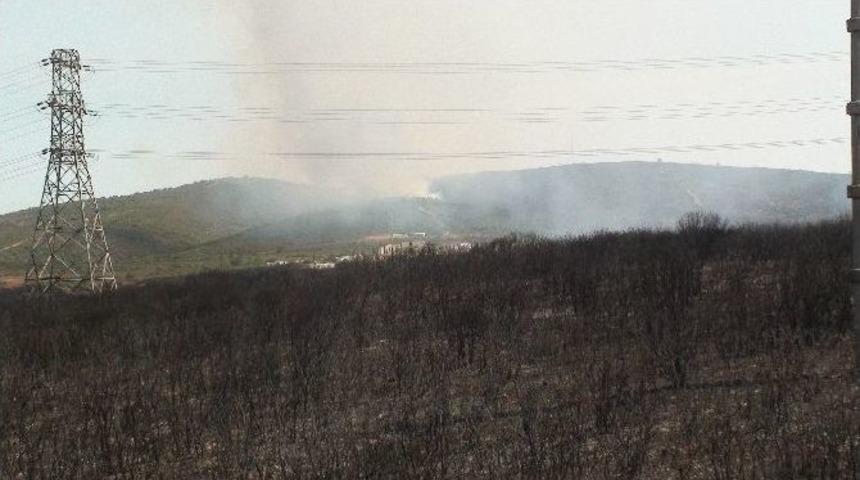 Tuzla Piyade Okulu Ormanında Yeniden Yangın &Ccedil;ıktı