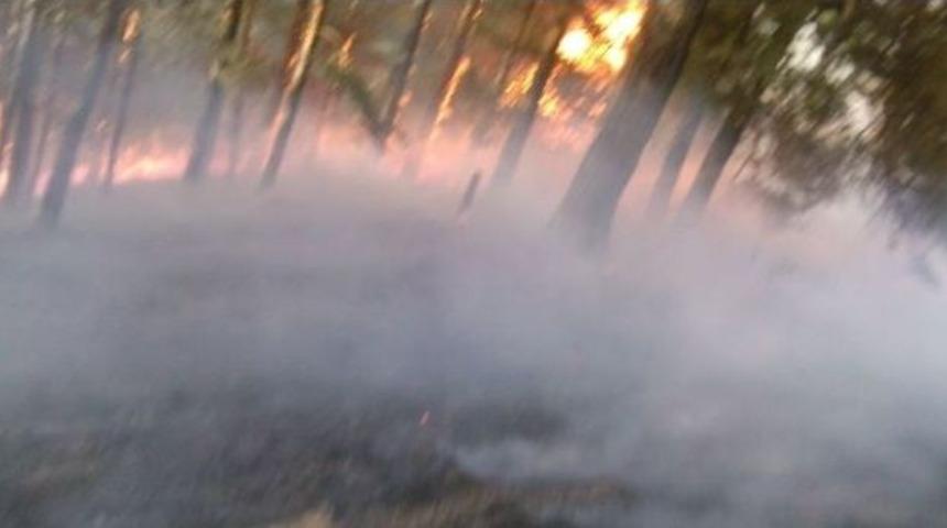 Sarıkamış&rsquo;ta Orman Yangını