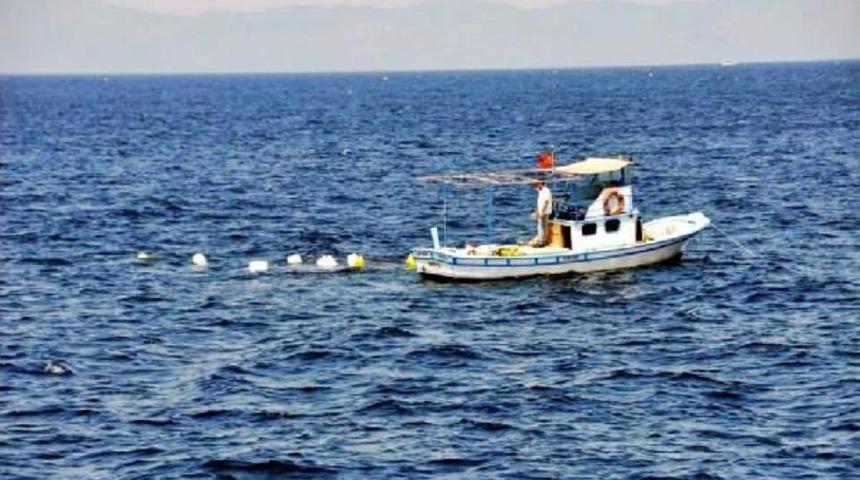 Ayvalık'ta Kırmızı Mercanları Kurtaracak Proje