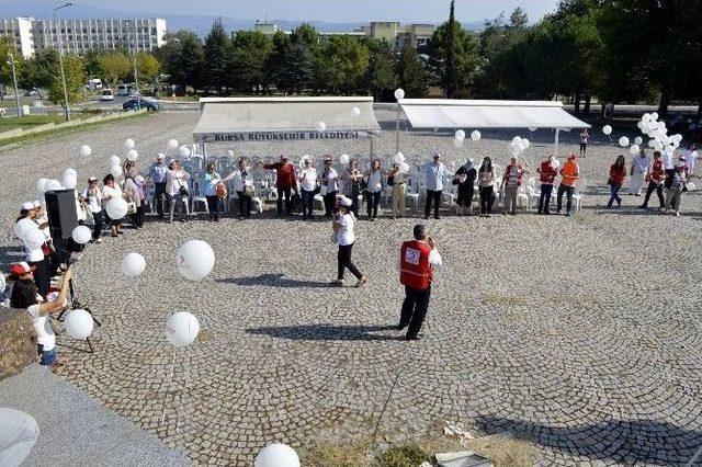 Dünya Sağlık Gününde Balon Uçurdular