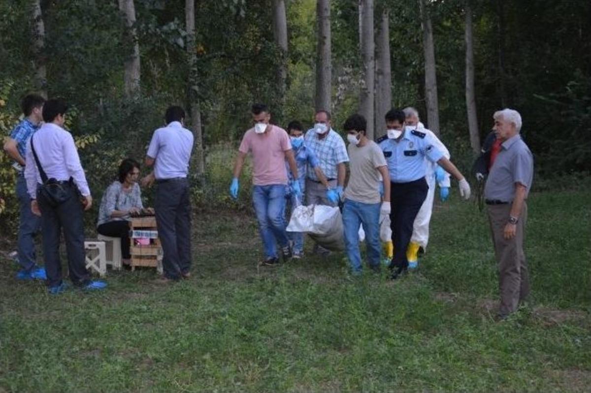 Niksar&rsquo;da Tarlada Ceset Bulundu