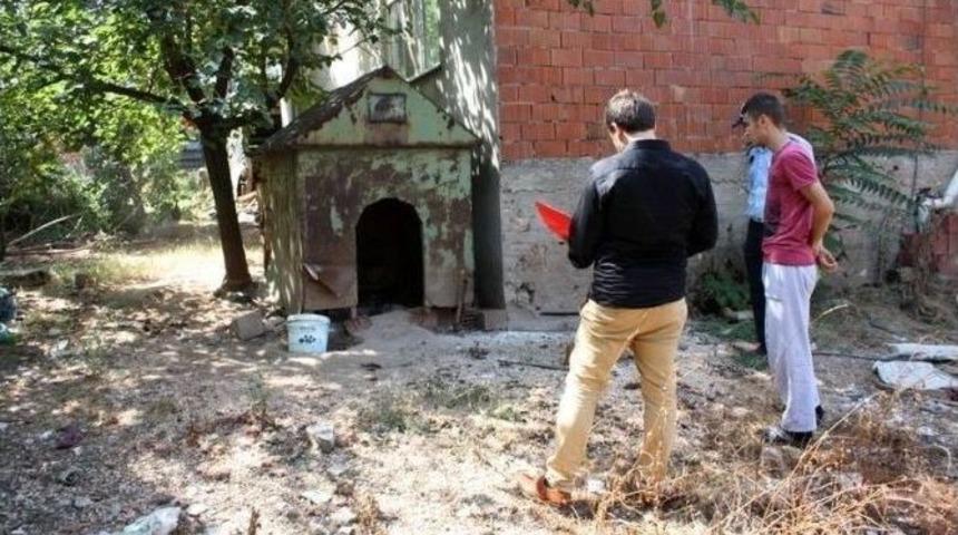 Osmaneli Belediyesi&rsquo;nin Halk Ve &Ccedil;evre Sağlığı Denetimleri