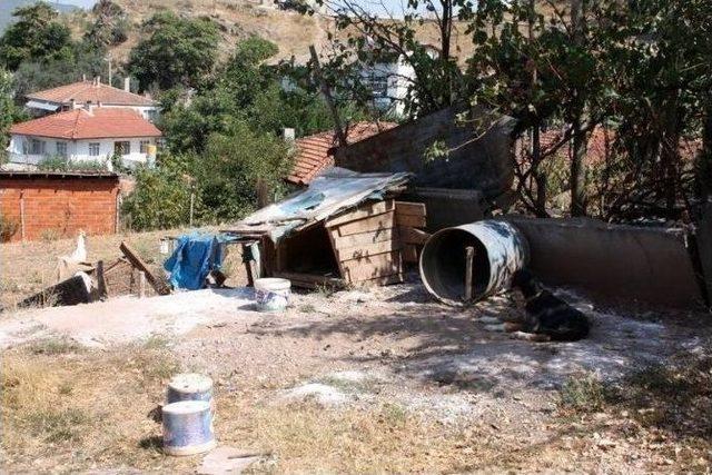 Osmaneli Belediyesi&rsquo;nin Halk Ve &Ccedil;evre Sağlığı Denetimleri 1