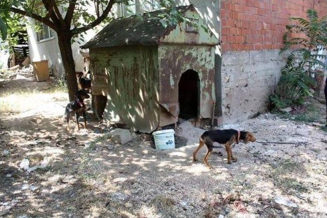 Osmaneli Belediyesi&rsquo;nin Halk Ve &Ccedil;evre Sağlığı Denetimleri 2