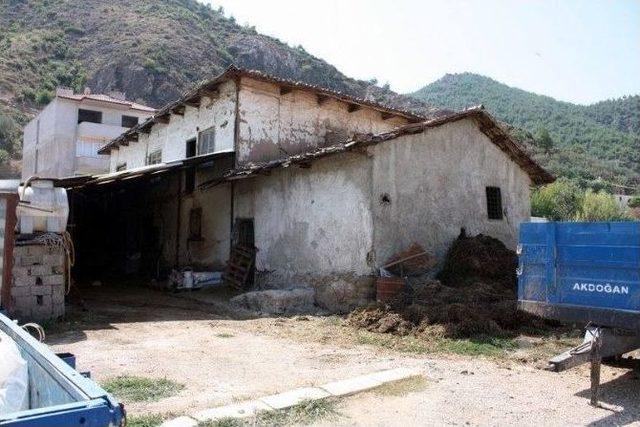 Osmaneli Belediyesi&rsquo;nin Halk Ve &Ccedil;evre Sağlığı Denetimleri 3